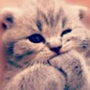 Meet your Posher, Kera